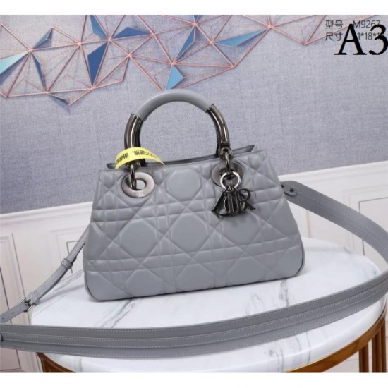 2023SS DIOR Dior popular let shop tote bag 2023SS DIOR Dior popular let shop tote bag