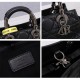 2023SS DIOR Dior popular let shop tote bag 2023SS DIOR Dior popular let shop tote bag