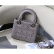 2023SS DIOR Dior The most popular product Tote bag 2023SS DIOR Dior The most popular product Tote bag