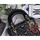 2023SS DIOR Dior fashionable but not tired tote bag 2023SS DIOR Dior fashionable but not tired tote bag