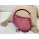 2023SS DIOR Dior Summer must-see tote bag 2023SS DIOR Dior Summer must-see tote bag