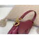 2023SS DIOR Dior Summer must-see tote bag 2023SS DIOR Dior Summer must-see tote bag