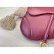 2023SS DIOR Dior Summer must-see tote bag 2023SS DIOR Dior Summer must-see tote bag