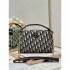 2023SS DIOR Dior A new tote bag that is extremely popular