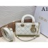2023SS DIOR Dior Tote bag with presence every season