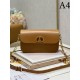 2023SS DIOR Dior fashionable shoulder bag 2023SS DIOR Dior fashionable shoulder bag