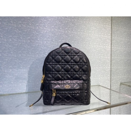 2023SS DIOR Dior Acquired No. 1 Cumulative Sales Backpack 2023SS DIOR Dior Acquired No. 1 Cumulative Sales Backpack