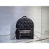 2023SS DIOR Dior Acquired No. 1 Cumulative Sales Backpack