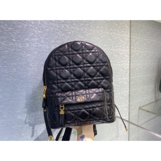 2023SS DIOR Dior Acquired No. 1 Cumulative Sales Backpack 2023SS DIOR Dior Acquired No. 1 Cumulative Sales Backpack