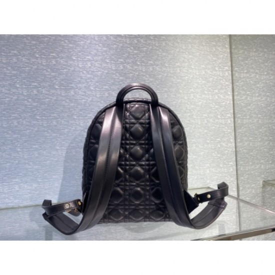 2023SS DIOR Dior Acquired No. 1 Cumulative Sales Backpack 2023SS DIOR Dior Acquired No. 1 Cumulative Sales Backpack