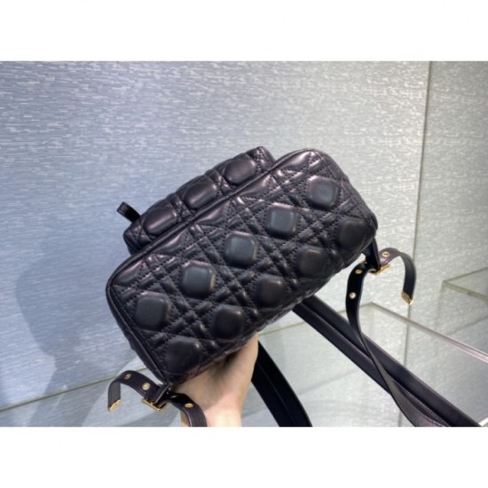 2023SS DIOR Dior Acquired No. 1 Cumulative Sales Backpack 2023SS DIOR Dior Acquired No. 1 Cumulative Sales Backpack