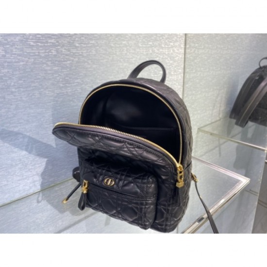 2023SS DIOR Dior Acquired No. 1 Cumulative Sales Backpack 2023SS DIOR Dior Acquired No. 1 Cumulative Sales Backpack