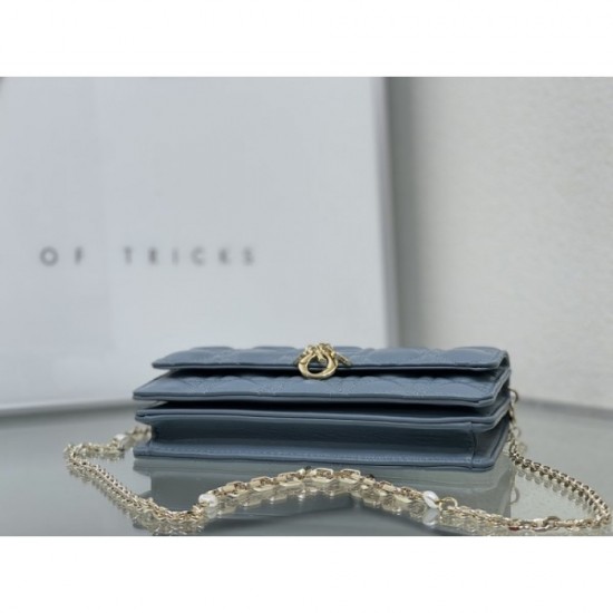 DIOR Dior Tote Bag 2023SS Spring/Summer New Limited Super Hard to Get DIOR Dior Tote Bag 2023SS Spring/Summer New Limited Super Hard to Get