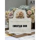 DIOR Dior Tote Bag 2023SS Fashion sense soars! DIOR Dior Tote Bag 2023SS Fashion sense soars!