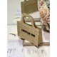 DIOR Dior Tote Bag 2023SS Fashion sense soars! DIOR Dior Tote Bag 2023SS Fashion sense soars!