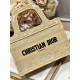 DIOR Dior Tote Bag 2023SS Fashion sense soars! DIOR Dior Tote Bag 2023SS Fashion sense soars!