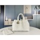 DIOR Tote Bag 2023FW A must-have item for fashionistas DIOR Tote Bag 2023FW A must-have item for fashionistas