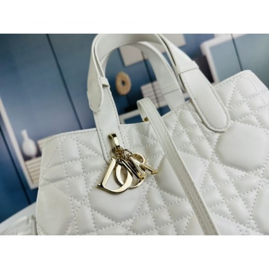 DIOR Tote Bag 2023FW A must-have item for fashionistas DIOR Tote Bag 2023FW A must-have item for fashionistas