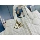 DIOR Tote Bag 2023FW A must-have item for fashionistas DIOR Tote Bag 2023FW A must-have item for fashionistas