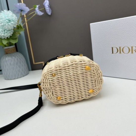DIOR Dior tote bag 2023FW Feel the latest trends DIOR Dior tote bag 2023FW Feel the latest trends