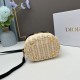 DIOR Dior tote bag 2023FW Feel the latest trends DIOR Dior tote bag 2023FW Feel the latest trends
