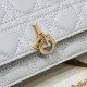 DIOR Shoulder bag 2023FW A mature style is completed DIOR Shoulder bag 2023FW A mature style is completed