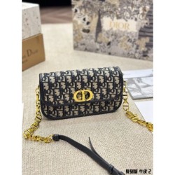DIOR Shoulder bag 2023FW Sold out Mandatory limited sale
