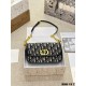 DIOR Shoulder bag 2023FW Sold out Mandatory limited sale DIOR Shoulder bag 2023FW Sold out Mandatory limited sale