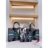 DIOR Dior tote bag 2023FW Unique autumn/winter coordination