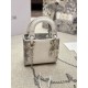 DIOR Dior tote bag 2023FW An exquisite casual atmosphere DIOR Dior tote bag 2023FW An exquisite casual atmosphere