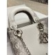 DIOR Dior tote bag 2023FW An exquisite casual atmosphere DIOR Dior tote bag 2023FW An exquisite casual atmosphere