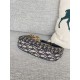 DIOR Dior tote bag 2023FW Celebrity favorite brand DIOR Dior tote bag 2023FW Celebrity favorite brand