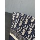 DIOR Dior tote bag 2023FW full of trendy feeling DIOR Dior tote bag 2023FW full of trendy feeling