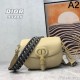 DIOR Shoulder bag 2023FW Latest and stylish DIOR Shoulder bag 2023FW Latest and stylish