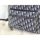 DIOR Backpack 2023FW Favorite Elegant DIOR Backpack 2023FW Favorite Elegant