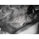 DIOR Backpack 2023FW Favorite Elegant DIOR Backpack 2023FW Favorite Elegant