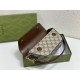 2023SS GUCCI Gucci spring and summer refreshing style tote bag 2023SS GUCCI Gucci spring and summer refreshing style tote bag