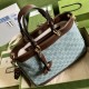 GUCCI Gucci Tote Bag 2023SS Essential item for this summer GUCCI Gucci Tote Bag 2023SS Essential item for this summer