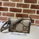 GUCCI Shoulder Bag 2023FW Fashionable fall/winter style GUCCI Shoulder Bag 2023FW Fashionable fall/winter style