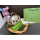 GUCCI Gucci tote bag 2023FW fall/winter new popular brand GUCCI Gucci tote bag 2023FW fall/winter new popular brand