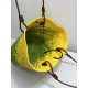 2023SS LOEWE Excellent item tote bag that seems to be this year 2023SS LOEWE Excellent item tote bag that seems to be this year