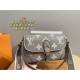 LOUIS VUITTON Shoulder bag 2023FW Love at first sight LOUIS VUITTON Shoulder bag 2023FW Love at first sight