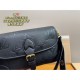 LOUIS VUITTON Shoulder bag 2023FW Hard to obtain LOUIS VUITTON Shoulder bag 2023FW Hard to obtain