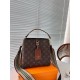 LOUIS VUITTON Louis Vuitton tote bag 2023FW new addition LOUIS VUITTON Louis Vuitton tote bag 2023FW new addition