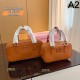 MIU MIU Tote bag 2023FW Beautiful impression MIU MIU Tote bag 2023FW Beautiful impression