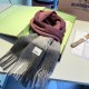 BURBERRY Burberry Last Autumn/Winter Collection 2023FW Scarf BURBERRY Burberry Last Autumn/Winter Collection 2023FW Scarf