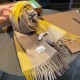 BURBERRY Stylish masterpiece 2023FW scarf BURBERRY Stylish masterpiece 2023FW scarf