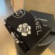CHANEL Autumn/Winter Season Continuing Trend New Arrival 2023FW Scarf CHANEL Autumn/Winter Season Continuing Trend New Arrival 2023FW Scarf