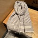 2023FW Muffler DIOR Dior Like a beautiful winter color 2023FW Muffler DIOR Dior Like a beautiful winter color