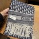 2023FW Muffler DIOR Dior Like a beautiful winter color 2023FW Muffler DIOR Dior Like a beautiful winter color